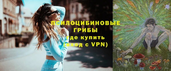 гидра Кулебаки
