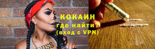 ГАЛЛЮЦИНОГЕННЫЕ ГРИБЫ Лагань