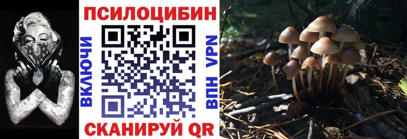 Псилоцибиновые грибы MAGIC MUSHROOMS Купить где Урай